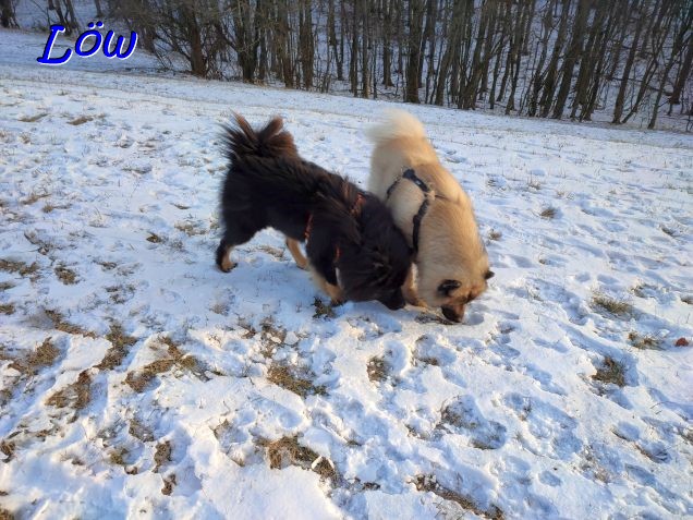 15.1.2024 - Ist da was besonderes?